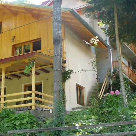 Mountain Sun Guest House Chiflik Luaran gambar