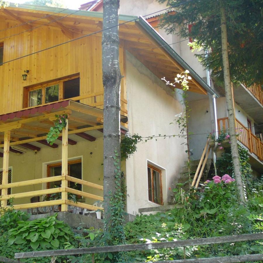 Mountain Sun Guest House Chiflik Luaran gambar